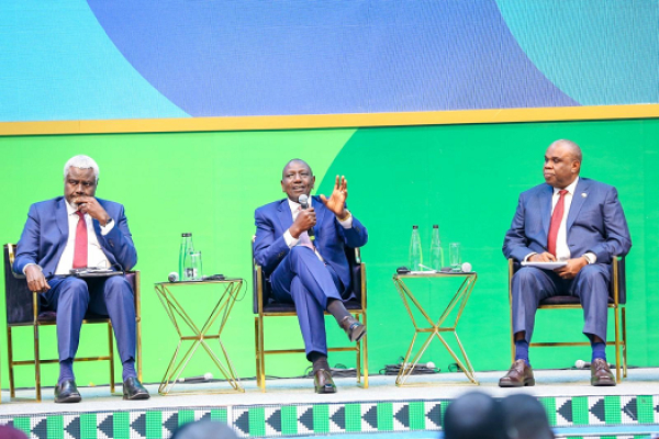 Afreximbank participe au premier sommet africain sur le climat