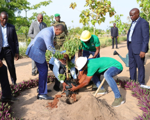 Aneho: ''Celui qui a planté un arbre avant de mourir n'a pas vécu inutilement'', Faure Gnassingbé fait sa part